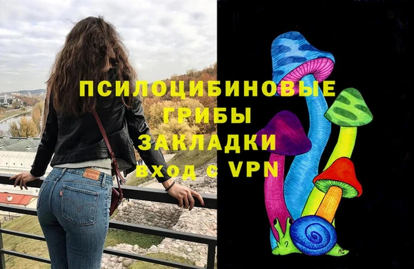прущие крисы Верея