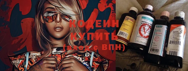 гашик Бородино