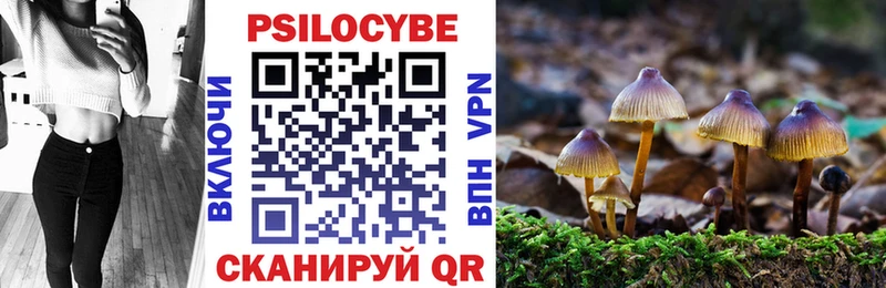 Псилоцибиновые грибы Psilocybine cubensis  Клин 